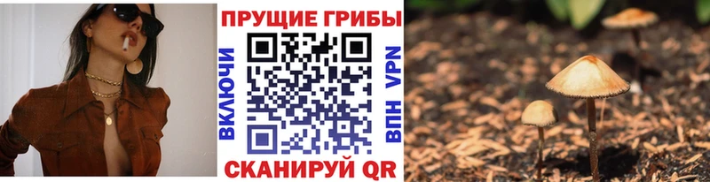 Галлюциногенные грибы прущие грибы  Купить закладки  Усть-Катав 